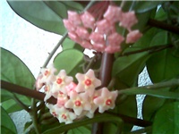 2e1258ba-Picture 033.jpg